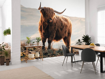 Fotobehang - Schotse hooglander op een heuvel