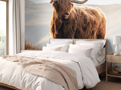 Fotobehang - Schotse hooglander op een heuvel