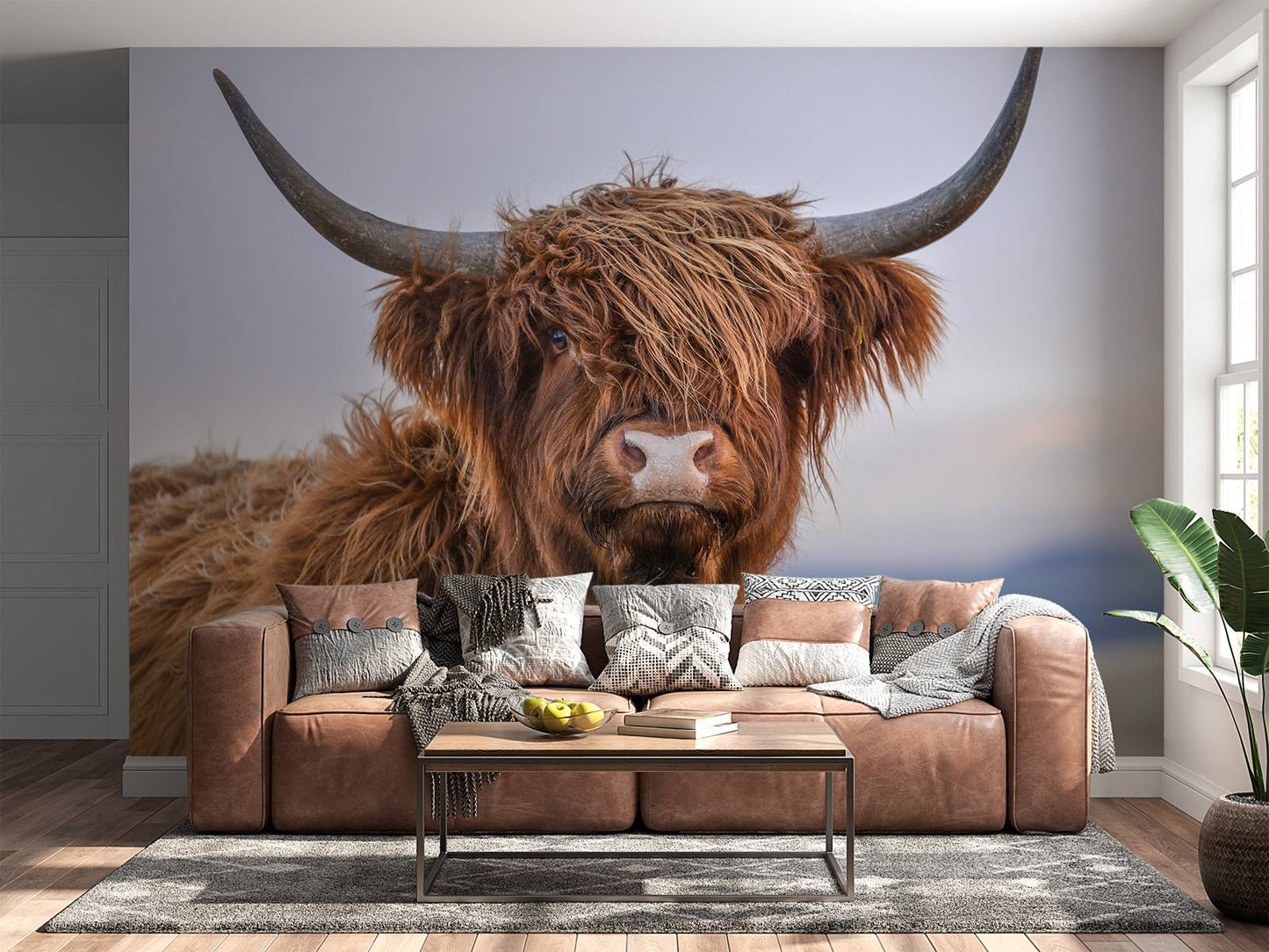 Fotobehang - Starende Schotse hooglander