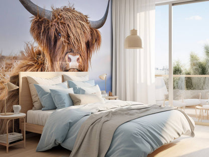 Fotobehang - Starende Schotse hooglander