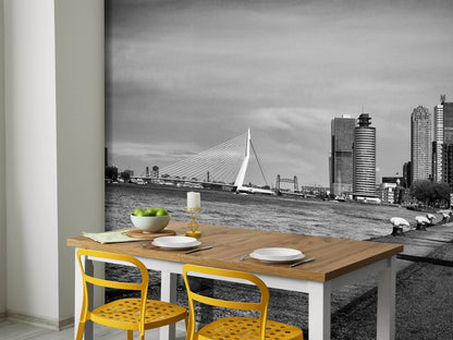 Fotobehang - Wereldhavenstad Rotterdam