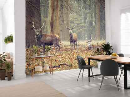 Fotobehang - Wilde herten