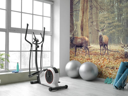 Fotobehang - Wilde herten