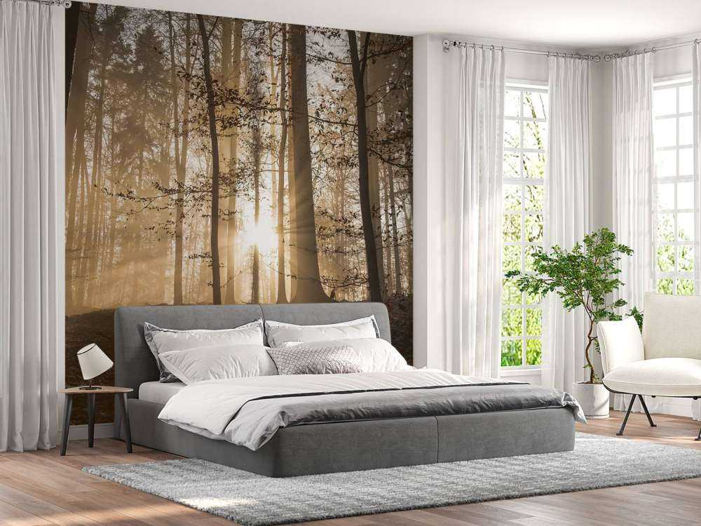 Fotobehang - Zonnestralen in een mistig bos