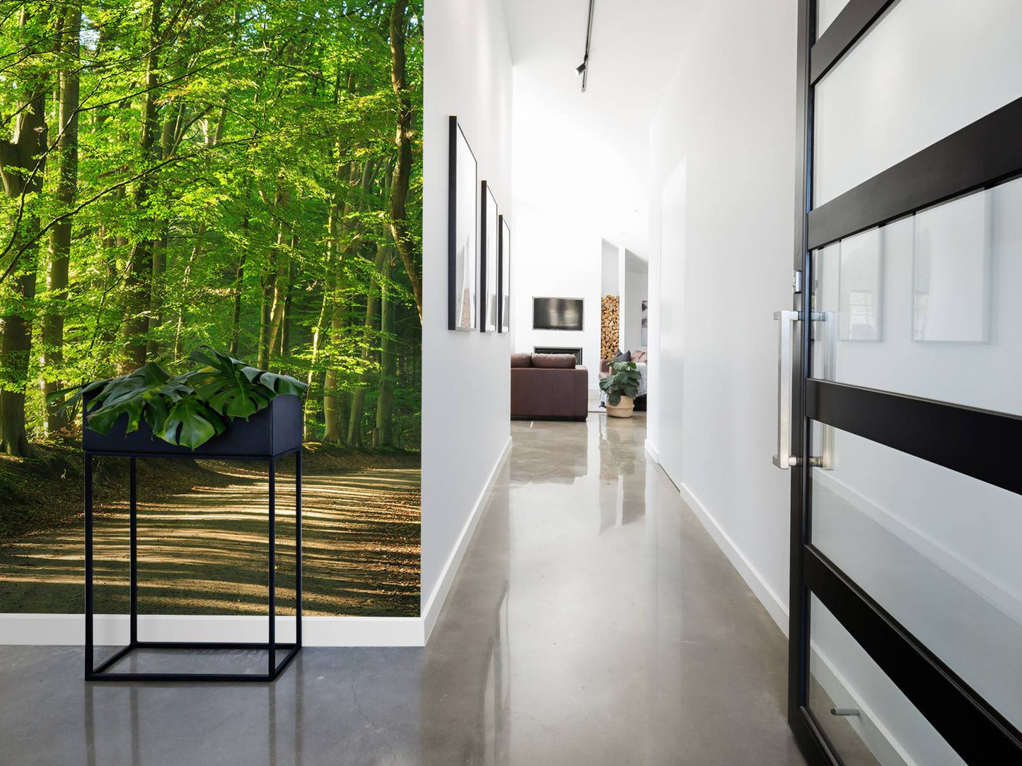 Fotobehang - Zonnige weg door een bos