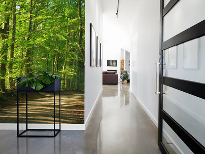 Fotobehang - Zonnige weg door een bos