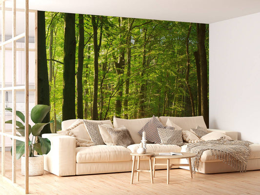 Fotobehang - Zonnige weg door een bos