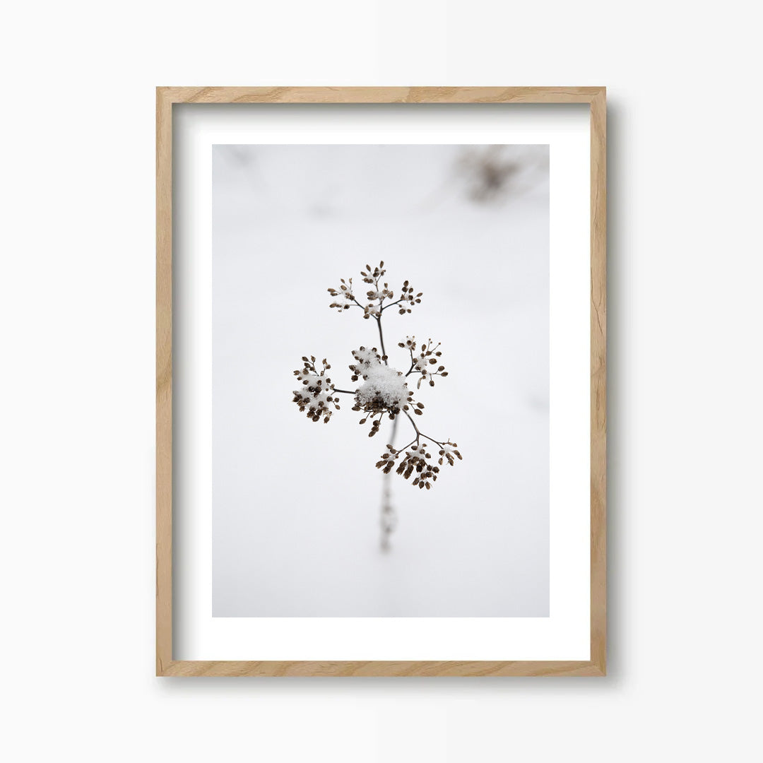 Branch Kunst Print