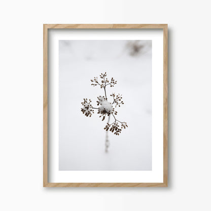 Branch Kunst Print