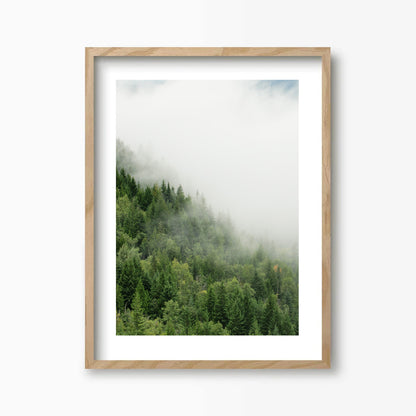 Green Trees Kunst Print