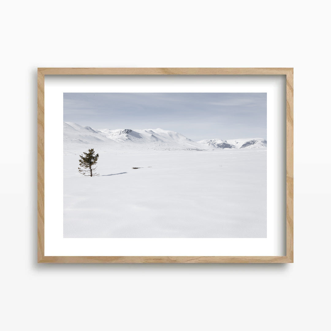 Lonely Tree Kunst Print