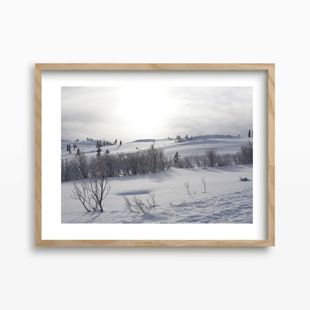 Winter Kunst Print
