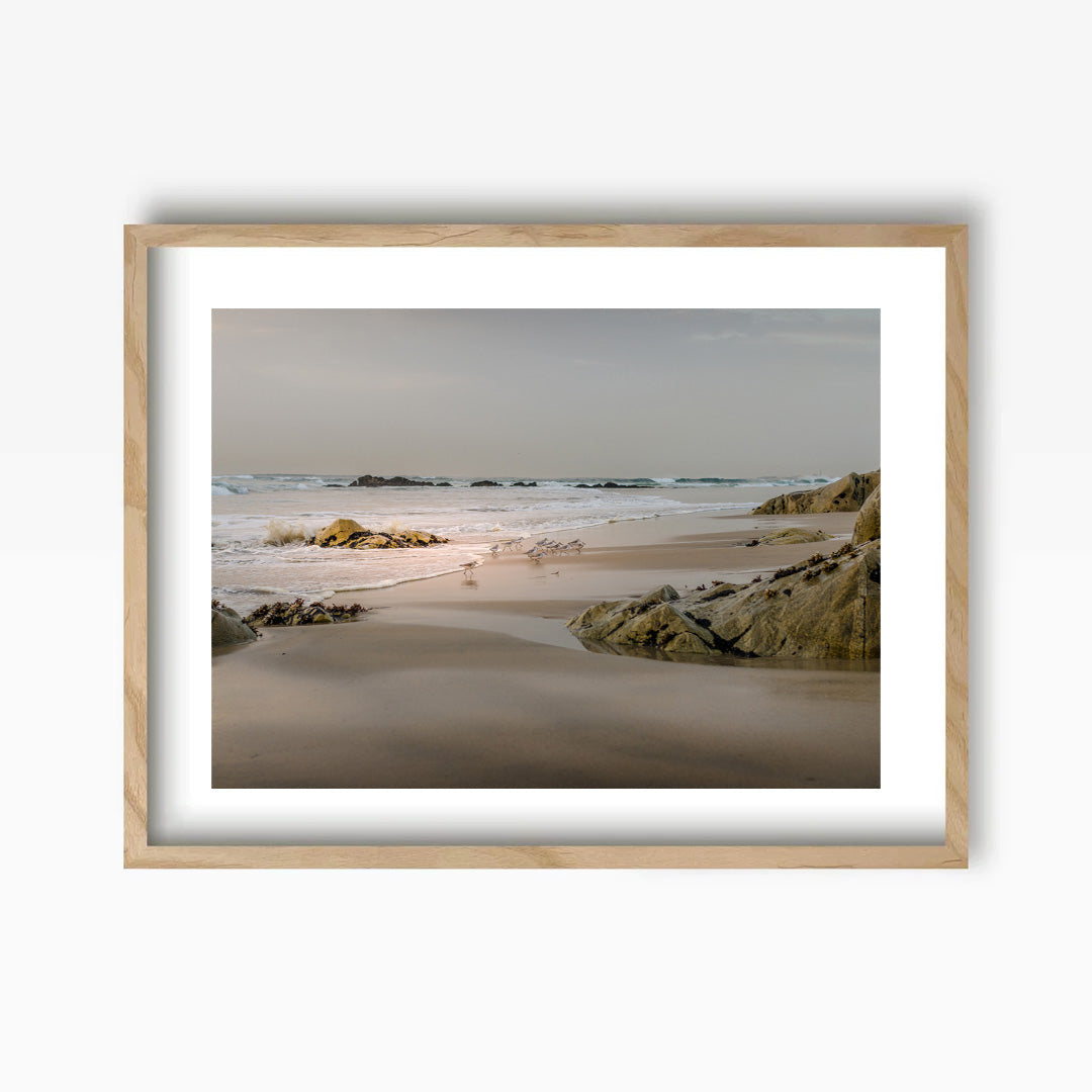 Beach Birds Art Print