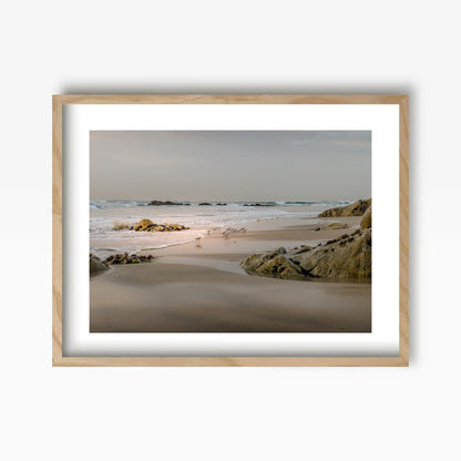 Beach Birds Art Print