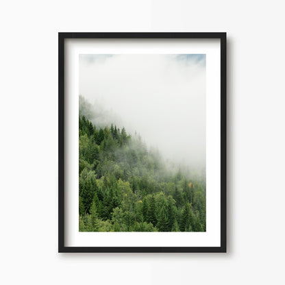 Green Trees Kunst Print