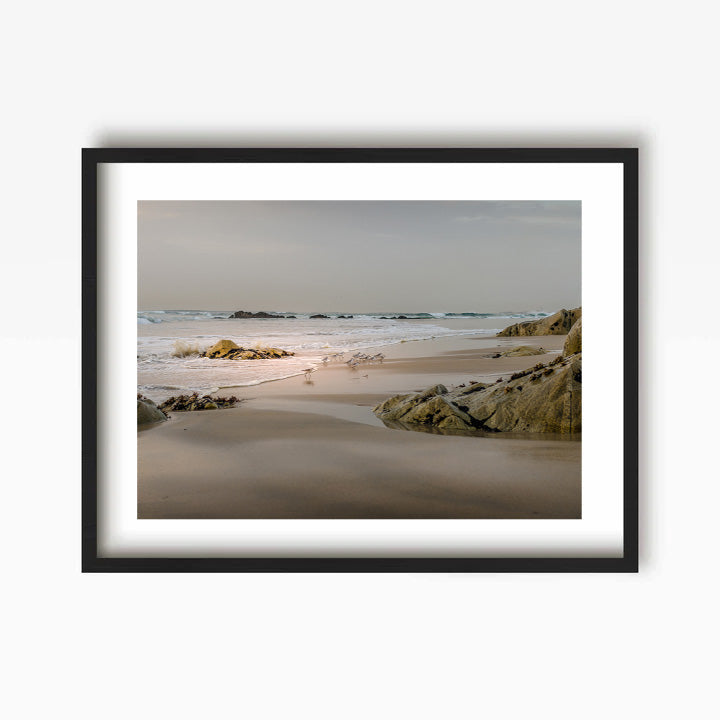 Beach Birds Art Print