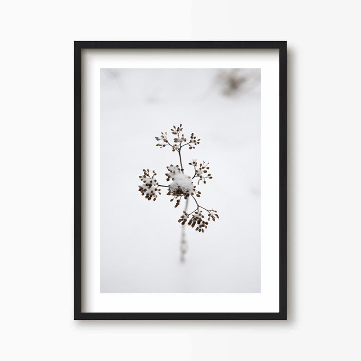 Branch Kunst Print