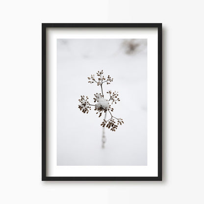 Branch Kunst Print