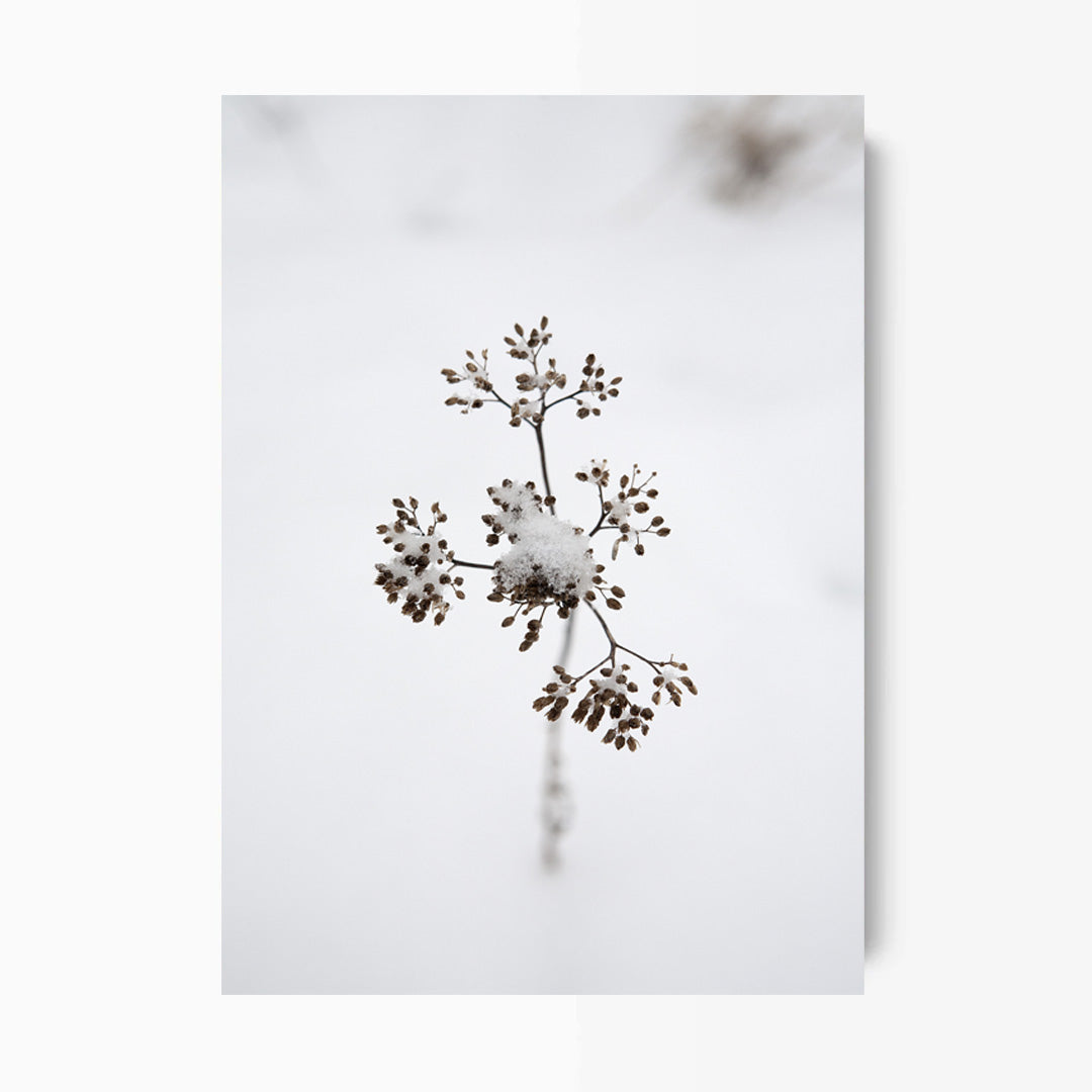 Branch Kunst Print