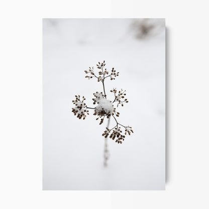 Branch Kunst Print