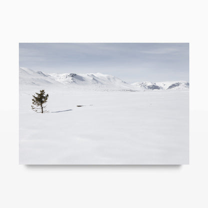 Lonely Tree Kunst Print