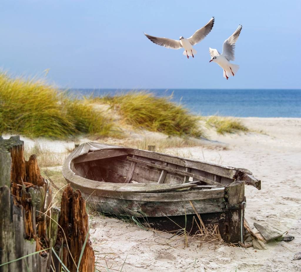 Fotobehang - Oude vissersboot, meeuwen, strand en zee