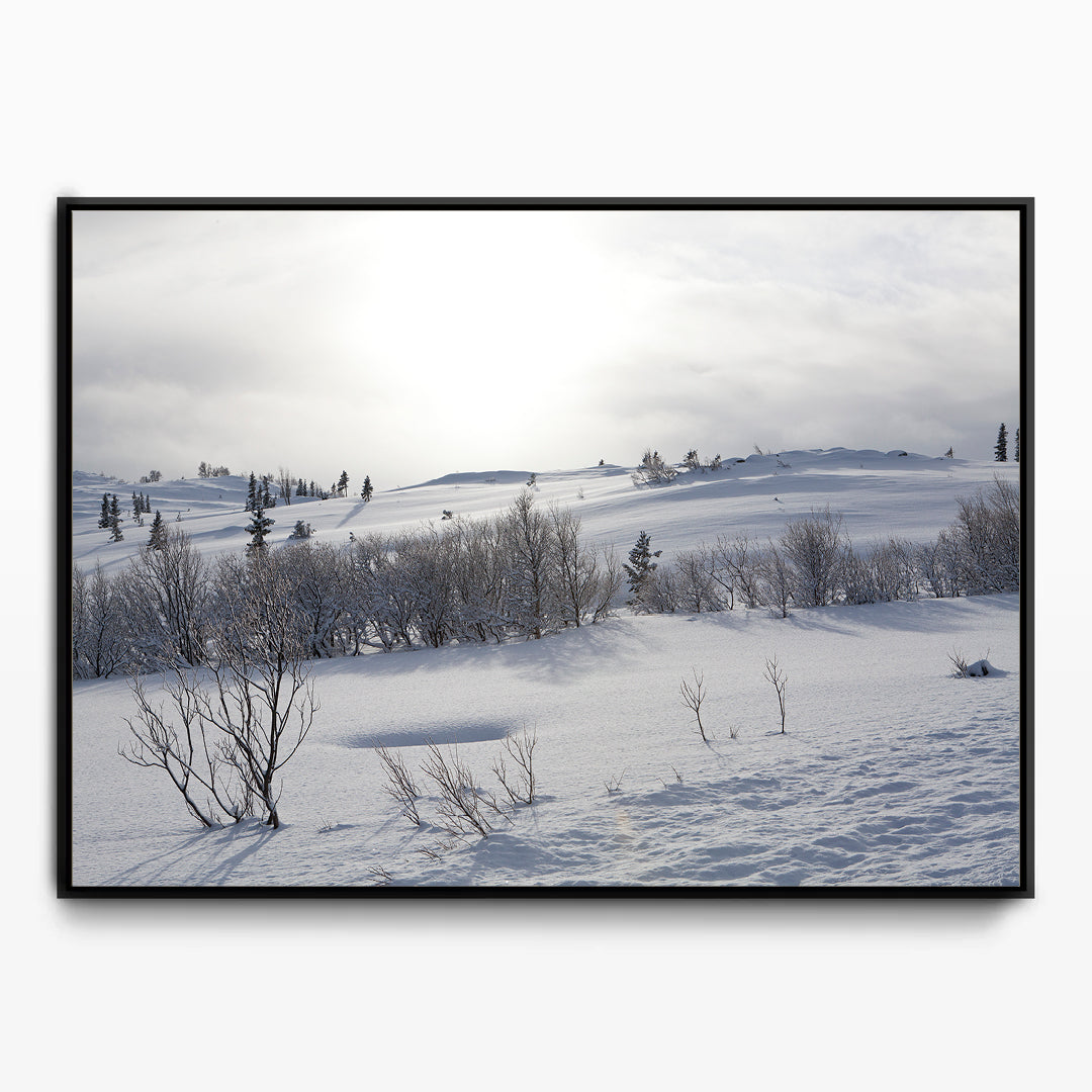 Winter Canvas Kunst