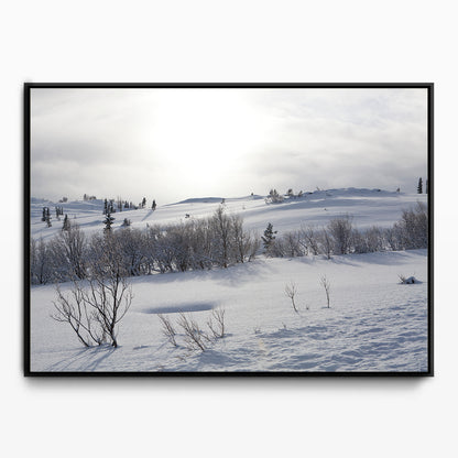 Winter Canvas Kunst