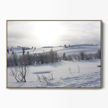 Winter Canvas Kunst