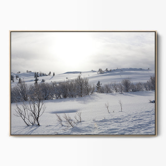 Winter Canvas Kunst